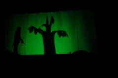 dsc07661_800x600