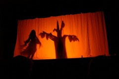 dsc07670_800x600
