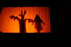 dsc07672_800x600