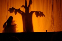 dsc07685_800x600