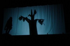 dsc07698_800x600
