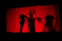 dsc07703_800x600