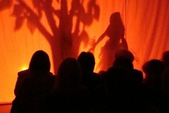 dsc07755_800x600