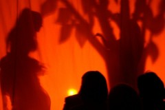 dsc07756_800x600