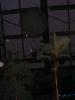 balon.trop_t1