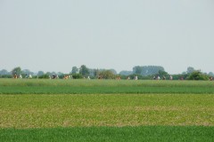 dsc09647