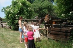 dsc09980_640x480