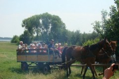 dsc09987_640x480