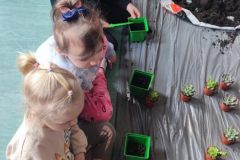 3f35af43-8b22-4f97-be06-2e797c2b5ec8