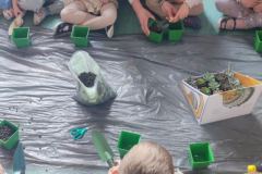 43d1e2d2-5ed5-44df-8016-803f706db8c2