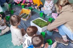 86f264f5-0bf7-4d3f-95c2-d653ef591612