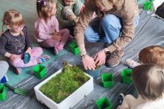 ac3c3055-f80f-41b3-ab25-c7219720aae2