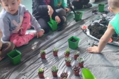 ff647e68-1a26-4fd2-a322-bb20a9084354