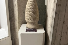 276052701_1013224079623875_2119898672185874797_n