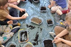 15ade0aa-8f99-44fc-a792-63d038a7dc13