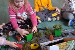 1fd26542-bfb9-4f6a-9275-c02c3a7e6b52