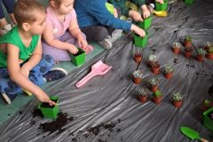 51a9cc8f-8953-40e6-9baf-f2d6826f74e4