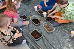 5635008f-9320-4c8f-982e-086ba78e6094