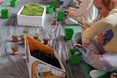 65c444d4-c642-45a5-8430-1b873f4795ba