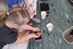 7752457a-b00b-46e4-9a48-cc2ae3408b68