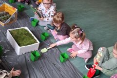 8ce8116e-b21d-4cd5-a7f5-4033a75a76db