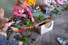 99cbd1b4-2251-4a85-94b4-208662fa21a7