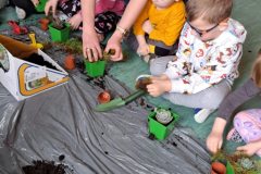 c0c29198-aec0-4b0f-817f-b4c19f26e808