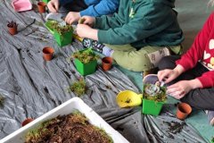 d69de783-8f64-4b3f-b635-9275fb6ced30