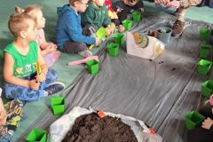 d721a7c0-6afa-4d9a-becb-46d71421499e