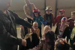 501128719_1653944641976706_4172433457993045872_n