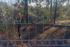 4a94dd62-86ec-4c52-9ae1-3f69d4dd0fc1