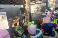 62e9e167-cd33-4dd9-9edb-c4f20dfc665c