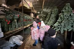 ad456775-4334-4f4e-b6cd-8d20d93f37ce