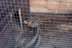 cf76c565-60e1-416d-a486-a1337a4bdf3a