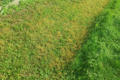 696781f4-f772-42dd-9237-c01cdc8619e2