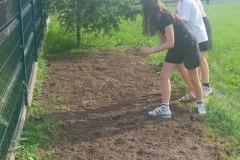 abed03c5-49f4-4dd9-a92c-fe66ea8ef82e