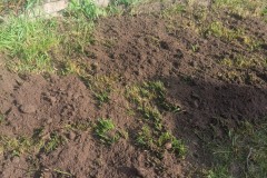 bb867a97-1bb6-4f75-93d2-90f480b2ce34