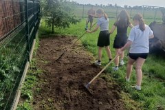 c33fd064-c822-4a38-bb5a-7d10ef69ac61