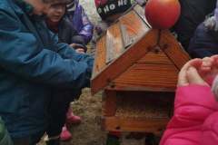 264037267_400437198498718_5101242883803781049_n