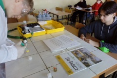 All-focus