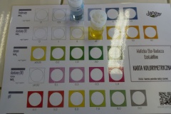 All-focus