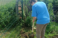 23247f54-406a-404e-b947-5fd8869eec78