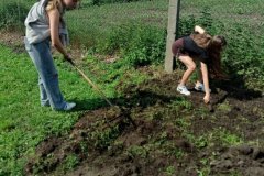 2ef81767-f648-472d-8bbd-a2aceb3b6910