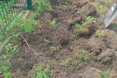 3bf2dc53-d869-4544-b7ba-8c66195ea0eb