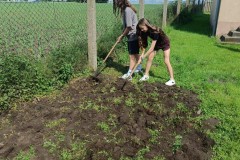 5f6f35e5-d37d-411a-ab45-4e8215997c50