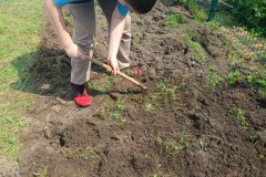 62225608-e875-48d2-9016-a486134a3ffc