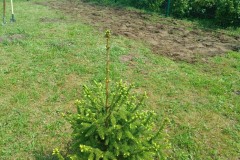 7b05cd49-49c3-4c38-9fc2-7c82b47bf723