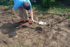 b20e3503-2d3d-4b68-9a2b-9c056eb3bb8b