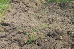 b4858a57-79a0-4f5f-942c-495ae906ee05