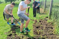 ccfc0501-755a-46db-ab10-4351e07b827c